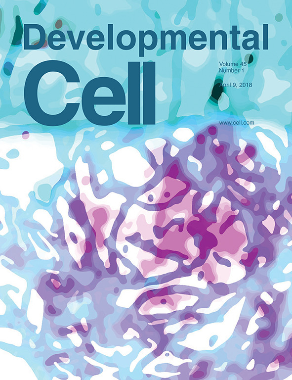 Developmental Cell cover, 2018 Apr 9.