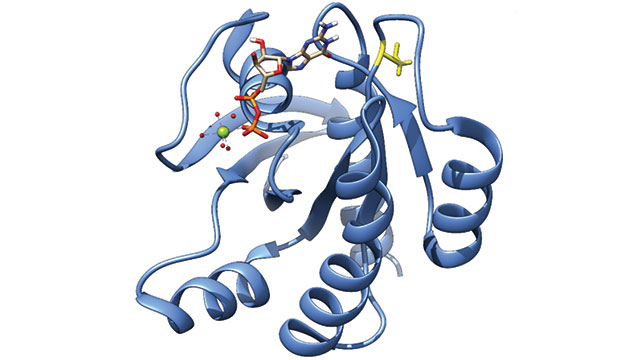 A depiction of the structure of protein form KRAS4b.