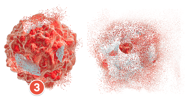 Nanobins destroying cancer cells
