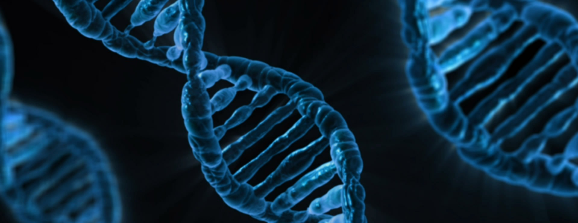 DNA, Wikipedia:WikiProject Genetics