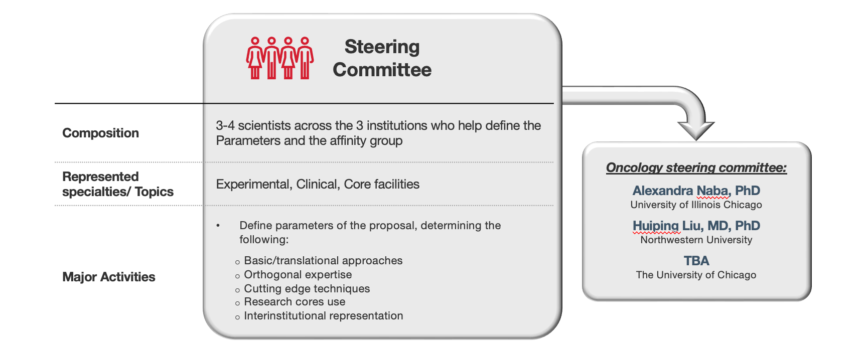 Affinity Group Components: Steering Committee